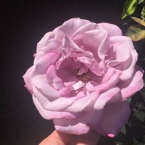 Meet your Posher, Kassi